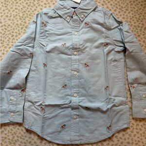 Light Blue Embroidered Shirt